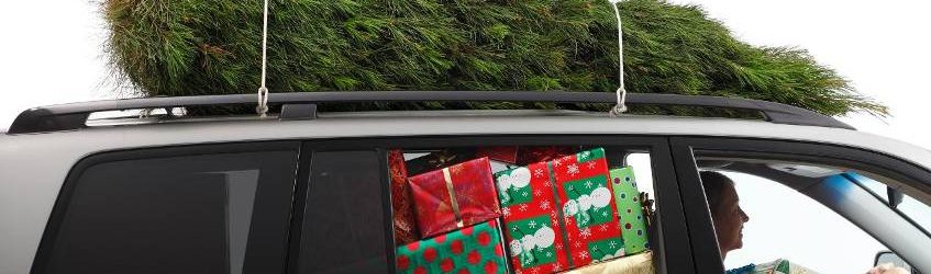 Weihnachtsbaum-Transport mit dem Auto - Typische Fehler