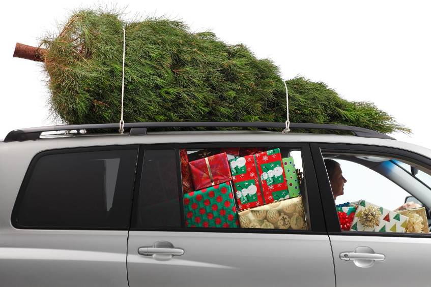 Weihnachtsbaum-Transport mit dem Auto - Typische Fehler