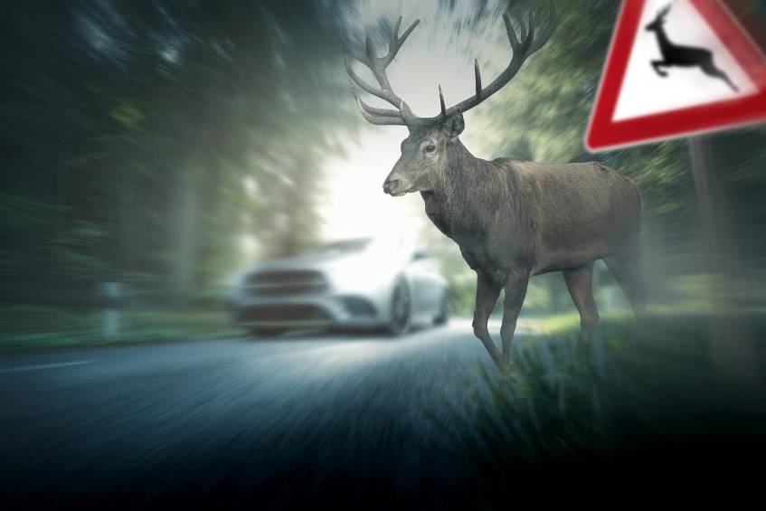 Autofahren im Frühjahr: Hier wird es jetzt gefährlich Jede Jahreszeit hat im Straßenverkehr ihre Tücken. Auf diese Risiken müssen Sie im Frühling achten.