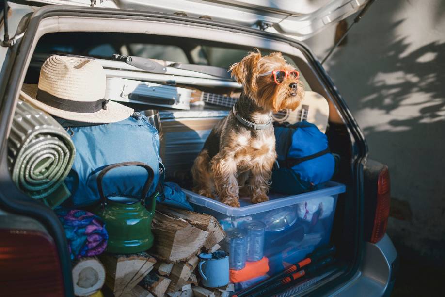 Was alles passieren kann, wenn Sie Ihr Auto überladen - Carmada